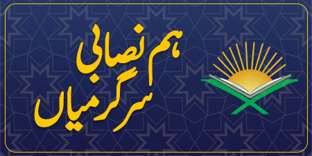 ہم نصابی سرگرمیاں